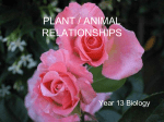 14. Plant - Animal Relations