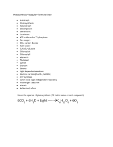 Photosynthesis Vocabulary Terms to Know Autotroph