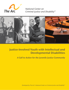 Justice-Involved Youth with Intellectual and Developmental Disabilities