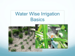 Drip-Irrigation Basics