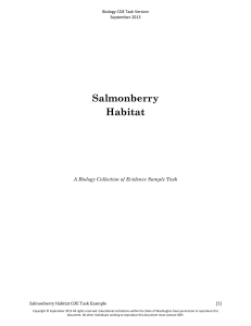 Salmonberry Habitat