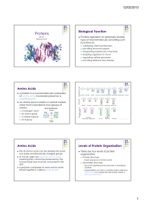 Biologically Important Molecules - Proteins PPT
