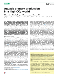 Aquatic primary production in a high-CO2 world