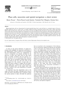 Place cells, neocortex and spatial navigation: a short review