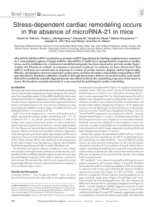 Stress-dependent cardiac remodeling occurs in the absence of