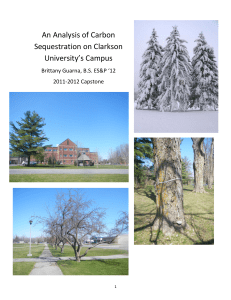 An Analysis of Carbon Sequestration on Clarkson University`s Campus