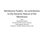 Tidbit Membrane Fluidity FINAL