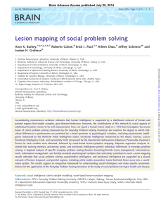 Lesion mapping of social problem solving
