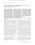 Blockade of adenosine diphosphate receptors