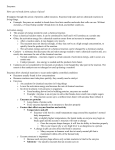 Extra Notes on Enzymes (Overview)