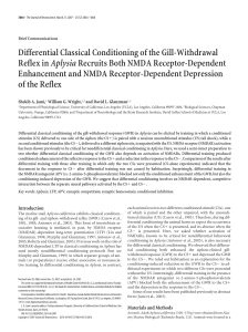 Differential Classical Conditioning of the Gill