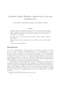 A properly in nite Banach ∗-algebra with a non