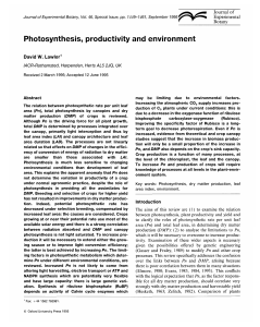 Photosynthesis, productivity and environment