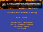 Transport Phenomena in Cell Biology - Thermal