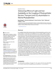 Interacting Effects of Light and Iron Availability on the Coupling of