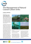 Summary of the management of natural coastal carbon sinks
