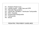 P1 – Pediatric Patient Care P2 – Cardiac Arrest – Initial Care and