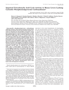 Impaired Tricarboxylic Acid Cycle Activity in Mouse Livers Lacking