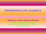 Probiotics and Allergy