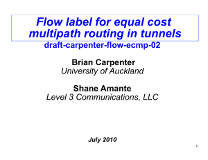 Flow label for equal cost multipath routing in tunnels