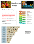 Classification Notes Classification of Living Things Why is it