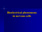05 Bioelectrical phenomena in nervous cells