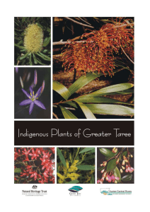Indigenous Plants - MidCoast Council