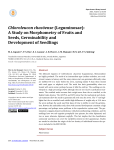 Chloroleucon chacӧense (Leguminosae): A Study on Morphometry