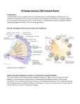 DNA and Genetics