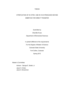 THESIS VITRIFICATION OF IN VITRO- AND IN VIVO