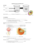 HOMEOSTASIS AND CELL TRANSPORT NOTES SOLUTIONS