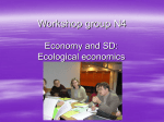 Workshop 4. Economy and SD: Ecological Economics