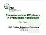 Phosphorus Use Efficiency in Production Agriculture