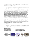 Reading:Food Chains and Food Webs