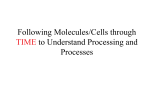 LOCALIZATION OF A MOLECULE