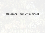 Plants and Their Environment