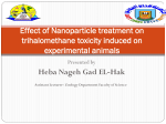 Effect of Nanoparticle treatment on trihalomethane toxicity induced