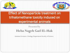 Effect of Nanoparticle treatment on trihalomethane toxicity induced