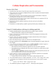 chapter 9 cellular respiration: harvesting chemical energy