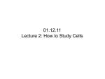 Lecture 2: How to Study Cells
