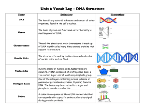 Unit 6 Vocab Log – DNA Structure Term: DNA Definition: The