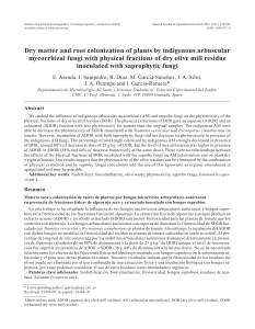 Dry matter and root colonization of plants by indigenous
