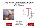 Gas NMR Characterization of Oil Shale