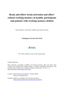 Brain and effort: brain activation and effort-related working