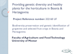 Providing genetic diversity and healthy plants for the