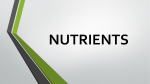 NUTRIENTS