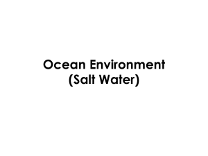 Ocean Environment (Salt Water)