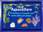 Aquaculture PPt 3