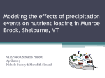 Modeling the effects of precipitation events on nutrient loading in