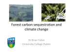 Forest carbon sequestration and climate change